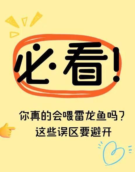 哪些食物適合彩虹雷龍魚，彩虹雷龍魚喂養(yǎng)全攻略