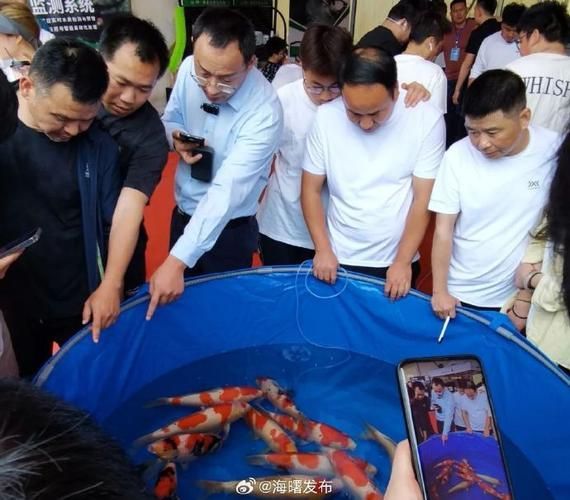 中國魚寶拍賣交易，中國魚寶拍賣交易是真實存在的真實存在的真實含義