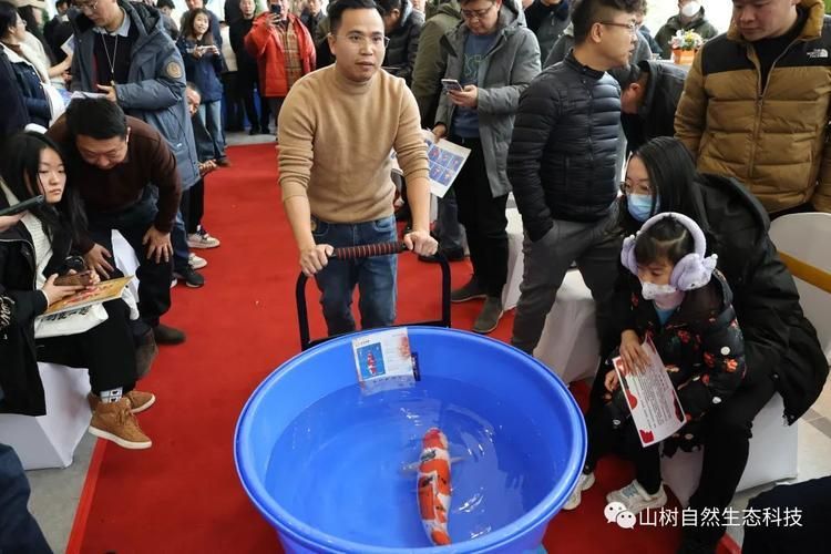 中國魚寶拍賣交易，中國魚寶拍賣交易是真實存在的真實存在的真實含義