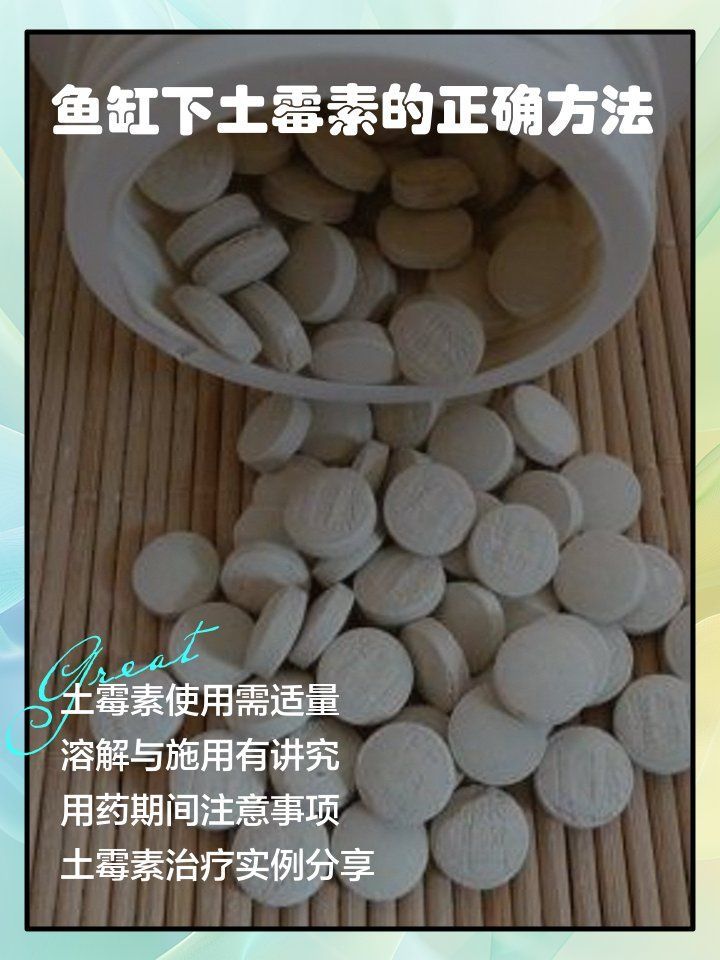 土霉素泡完后需要換水嗎，土霉素泡完后需要多久換一次水