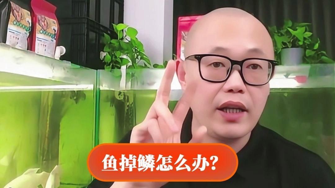 有哪些藥物可以治療魚鱗片脫落和潰爛，治療魚鱗病的方法