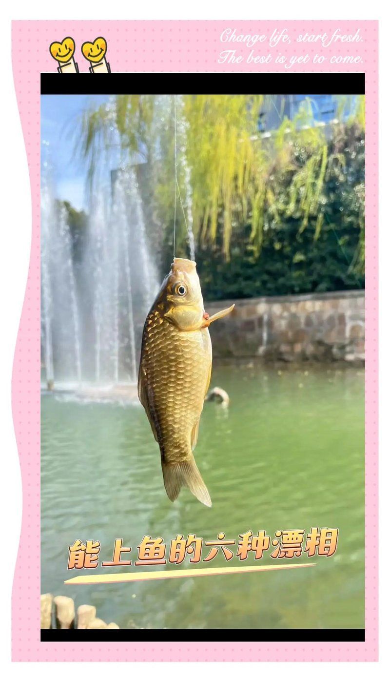 如何區分魚沉尾和其他漂相，如何區分魚沉尾和其他漂相？6種漂相教你提竿時機