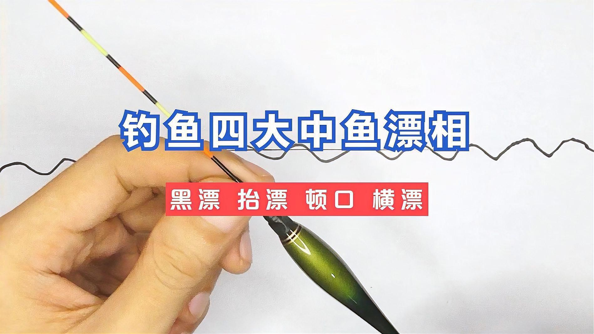 如何區分魚沉尾和其他漂相，如何區分魚沉尾和其他漂相？6種漂相教你提竿時機