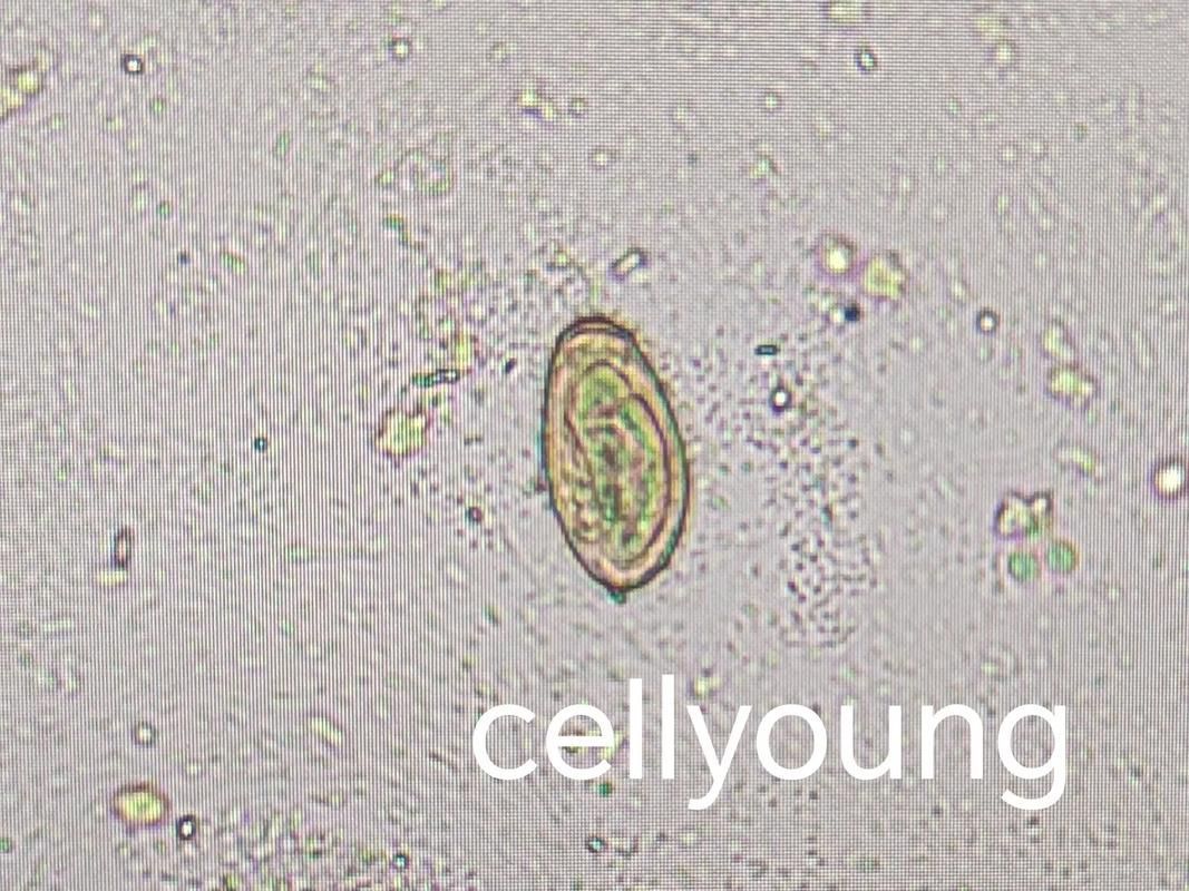 哪些魚片燙5秒有較高風(fēng)險(xiǎn)，arxiv論文助手（1000字+配圖）哪些魚片燙5秒有較高風(fēng)險(xiǎn)