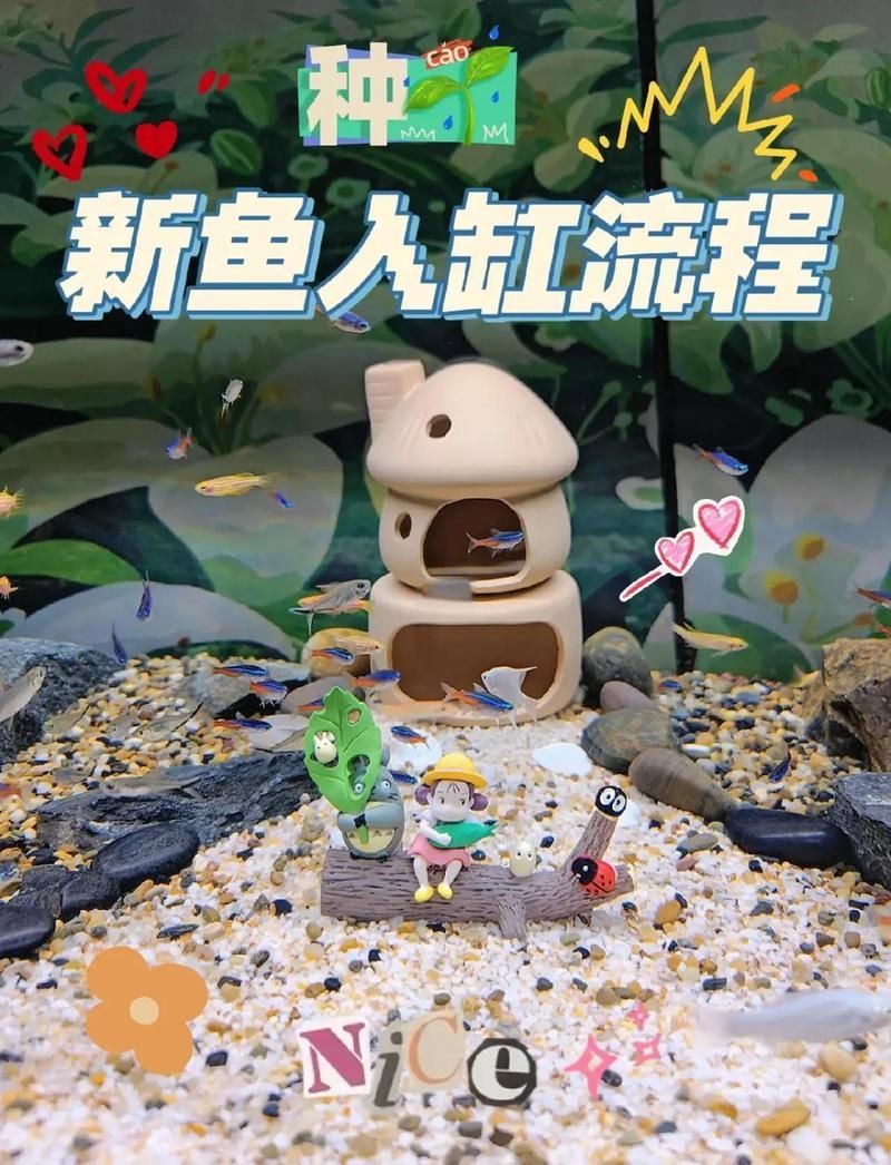 如何預防鰓病在魚缸中傳播，新手養魚，如何預防魚缸疾病