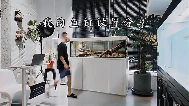 5條龍魚的最佳擺放位置，5條龍魚的最佳擺放位置圖片