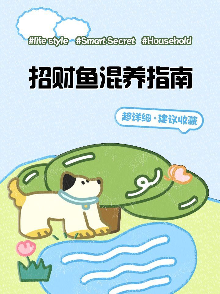 招財貓魚和龍魚混養需要哪些設備，招財貓魚和龍魚混養設備采購清單