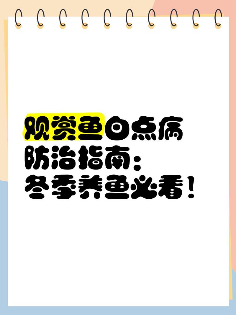 哪種方法最適合預(yù)防龍魚(yú)白點(diǎn)病，如何預(yù)防龍魚(yú)白點(diǎn)病 哪種方法最適合預(yù)防龍魚(yú)白點(diǎn)病，如何預(yù)防龍魚(yú)白點(diǎn)病 龍魚(yú)百科 第2張