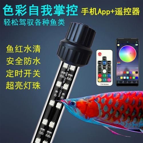 金龍魚(yú)使用暖黃色燈光有哪些注意事項(xiàng)？，金龍魚(yú)使用暖黃色燈光多久合適金龍魚(yú)使用暖黃色燈光