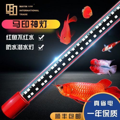 金龍魚(yú)使用暖黃色燈光有哪些注意事項(xiàng)？，金龍魚(yú)使用暖黃色燈光多久合適金龍魚(yú)使用暖黃色燈光
