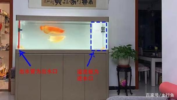 如何判斷龍魚缸出水口是否合適？，如何判斷魚缸出水口是否合適 如何判斷龍魚缸出水口是否合適？，如何判斷魚缸出水口是否合適 龍魚百科 第3張