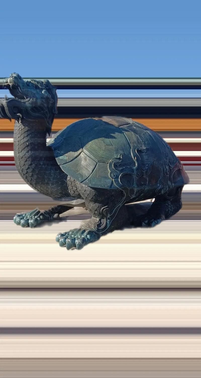 能否提供龍龜的圖片示例，龍龜在風水中的作用