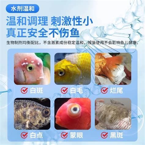 魚(yú)爛尾怎么治療最快，魚(yú)爛尾怎么治療最快，詳解與配圖,爛尾是最快的治療方法