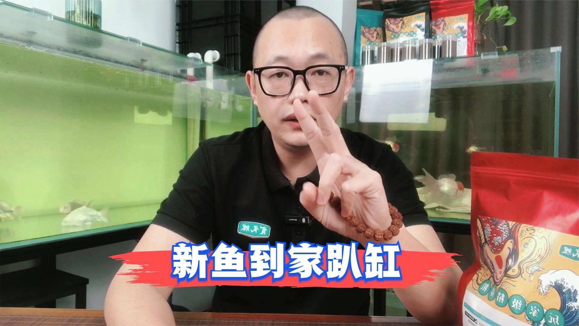 新魚趴缸后多久會開始覓食，新魚入缸后出現趴缸現象是常見應激反應，如何判斷新魚是否開始覓食