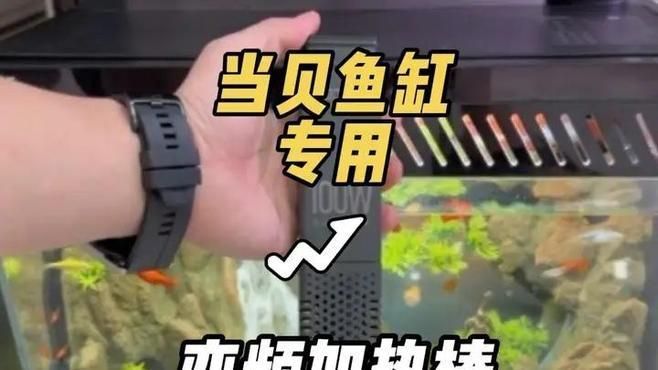 龍魚養(yǎng)殖需要哪些設備，龍魚養(yǎng)殖中水質管理有哪些技巧龍魚養(yǎng)殖中水質管理 龍魚養(yǎng)殖需要哪些設備，龍魚養(yǎng)殖中水質管理有哪些技巧龍魚養(yǎng)殖中水質管理 龍魚百科 第1張