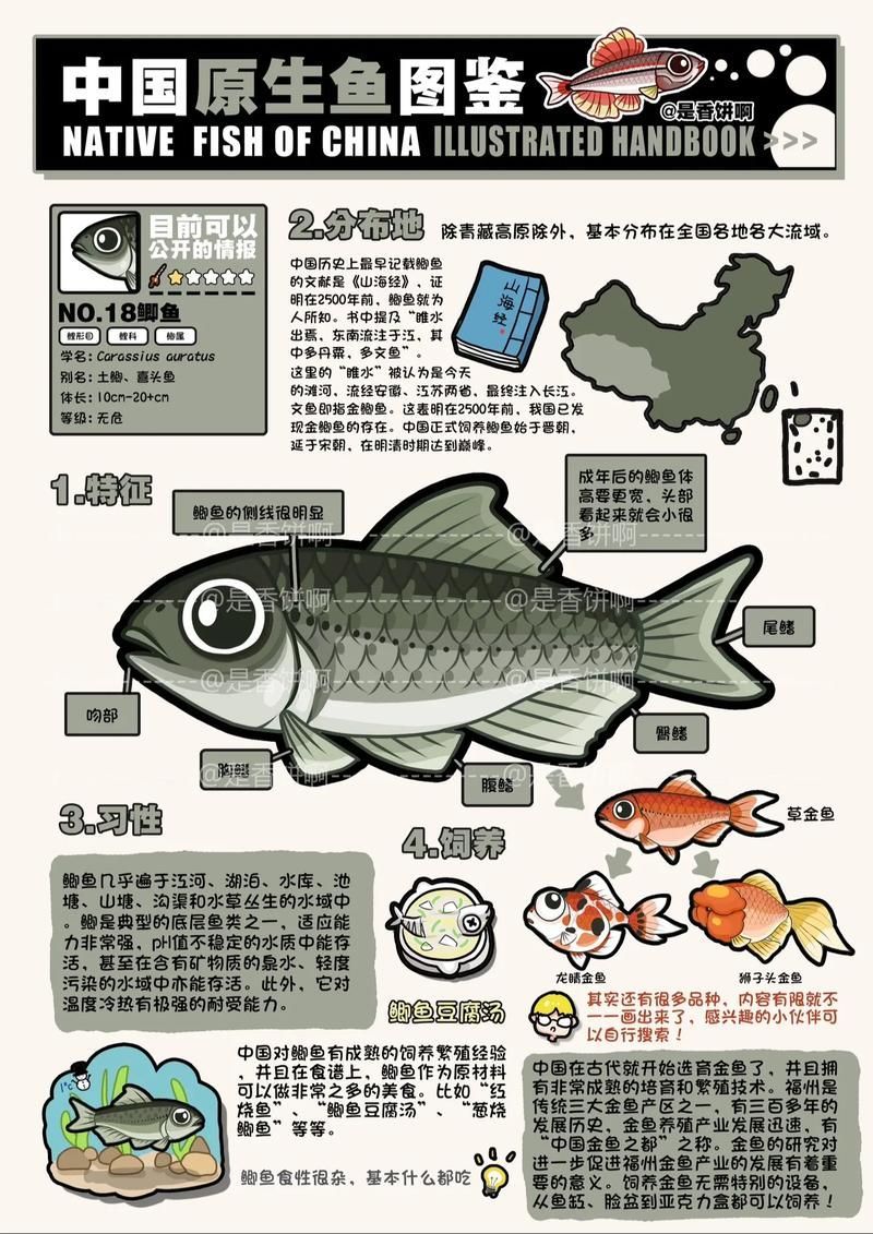 觀魚釣魚技巧分享，西安觀魚釣魚技巧分享 觀魚釣魚技巧分享，西安觀魚釣魚技巧分享 龍魚百科 第4張