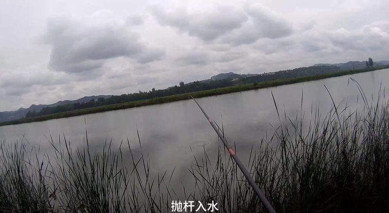 觀魚釣魚技巧分享，西安觀魚釣魚技巧分享 觀魚釣魚技巧分享，西安觀魚釣魚技巧分享 龍魚百科 第9張