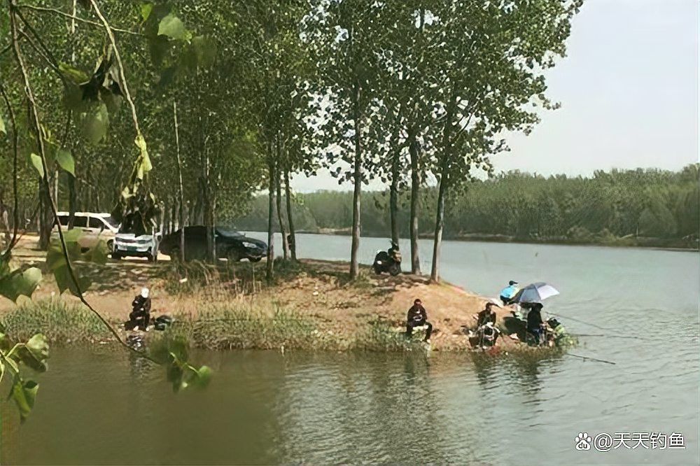 觀魚釣魚技巧分享，西安觀魚釣魚技巧分享 觀魚釣魚技巧分享，西安觀魚釣魚技巧分享 龍魚百科 第10張