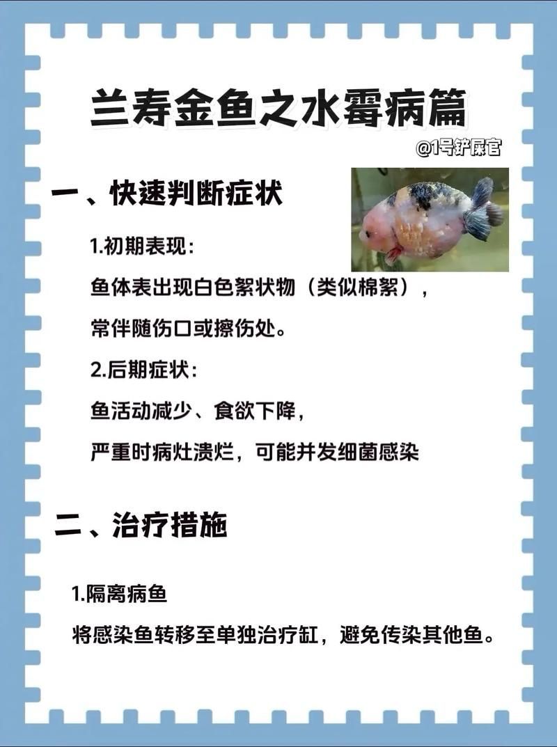 有哪些預防魚真菌感染的措施，預防魚真菌感染的系統性措施