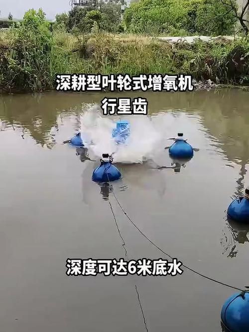 如何預防魚外傷，arxiv論文助手arxiv論文助手arxiv論文助手