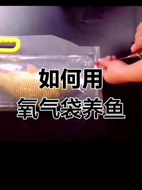 如何預防魚外傷，arxiv論文助手arxiv論文助手arxiv論文助手