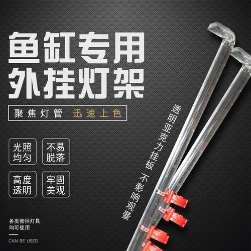 推薦幾款適合龍魚的側燈品牌，市場上受到好評的龍魚側燈品牌推薦：龍魚側燈品牌推薦 推薦幾款適合龍魚的側燈品牌，市場上受到好評的龍魚側燈品牌推薦：龍魚側燈品牌推薦 龍魚百科 第6張