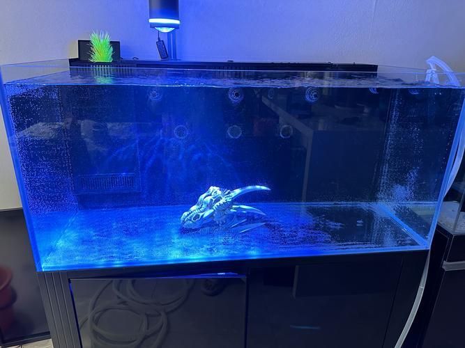 彩蝶魚缸有哪些型號推薦？，彩蝶魚缸型號介紹