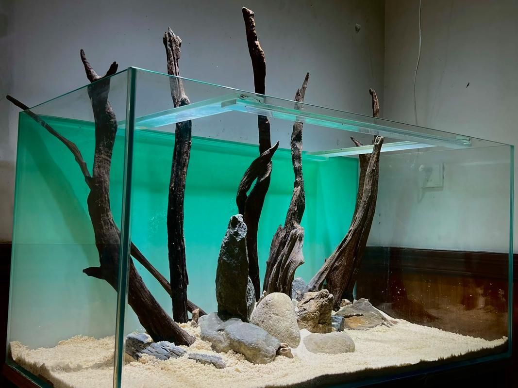 野彩魚缸造景技巧有哪些？