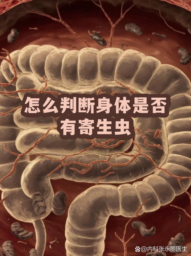 有哪些常見的寄生蟲感染案例，“蟲感亂”是什么？ 有哪些常見的寄生蟲感染案例，“蟲感亂”是什么？ 龍魚百科 第2張