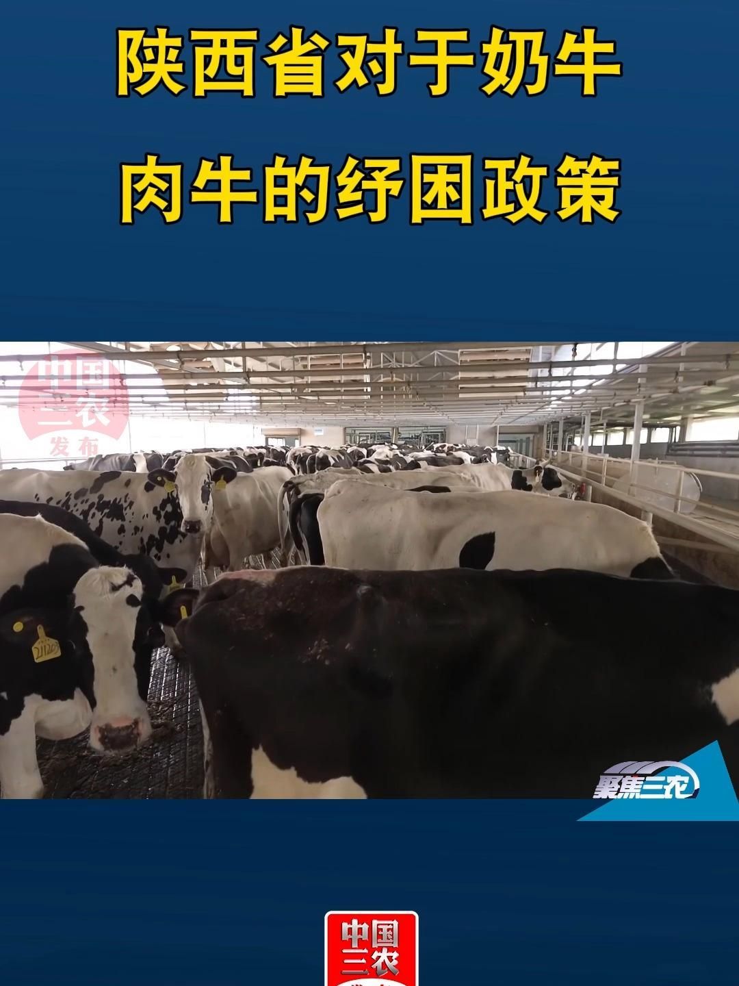 有哪些政策支持養殖業，政策支持養殖業