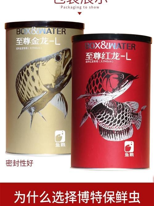 有哪些適合紅龍魚的干食品牌推薦，紅龍魚干的選擇