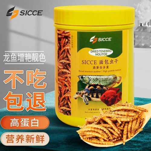 有哪些適合紅龍魚的干食品牌推薦，紅龍魚干的選擇