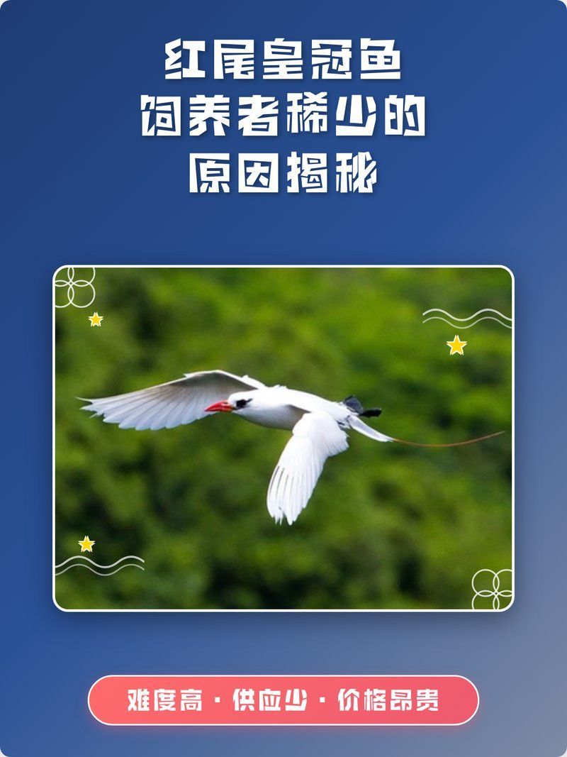 紅尾魚和翹嘴魚的養(yǎng)殖技術(shù)難度對比