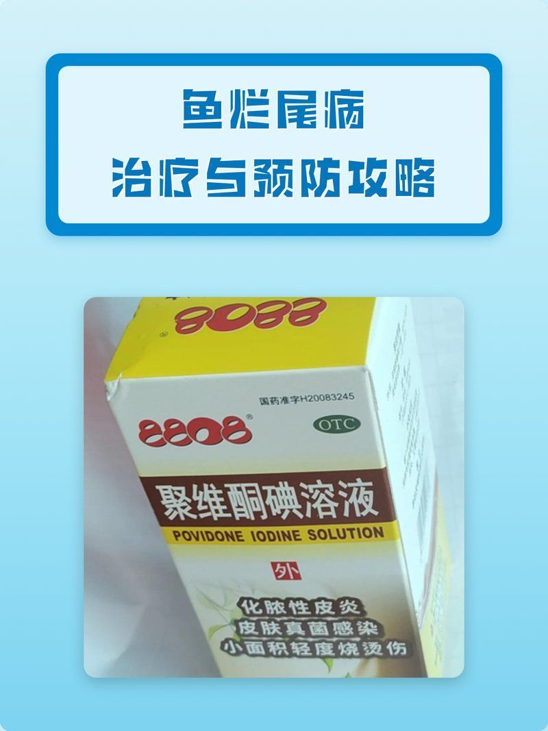 如何預防魚爛尾復發，——養殖魚爛尾復發對于養殖業者來說至關重要