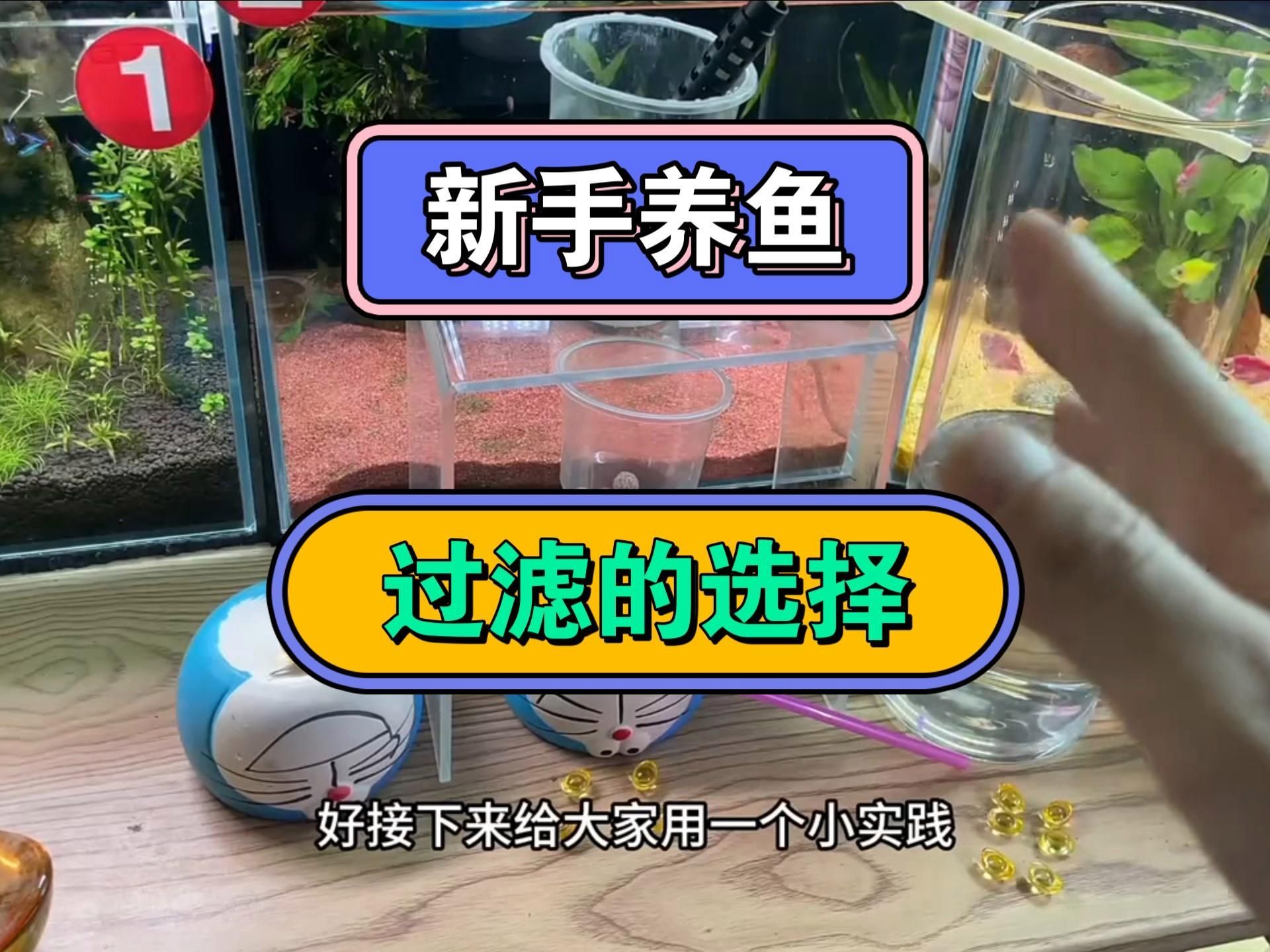 魚缸的過濾系統(tǒng)如何選擇，魚缸過濾系統(tǒng)如何選擇