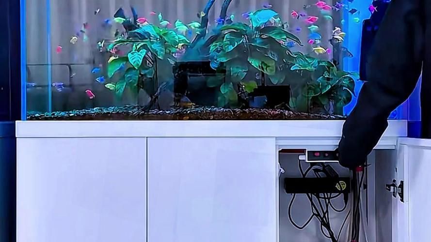 森森魚缸有哪些熱門型號，性價比高的森森魚缸哪個型號最好如何選擇森森魚缸 森森魚缸有哪些熱門型號，性價比高的森森魚缸哪個型號最好如何選擇森森魚缸 龍魚百科 第10張
