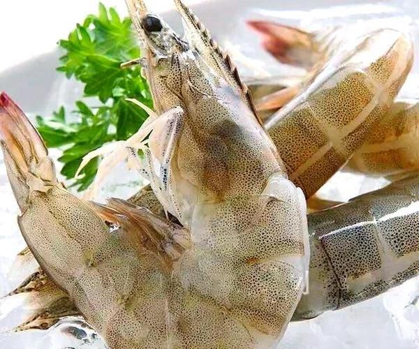 武漢良之隆的“小龍魚”品牌有哪些產品？，良之隆的“小龍魚”品牌主要提供以下產品