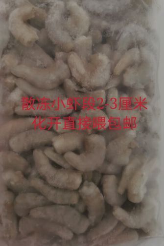 有哪些活餌適合龍魚投喂，適合投喂給龍魚的活餌