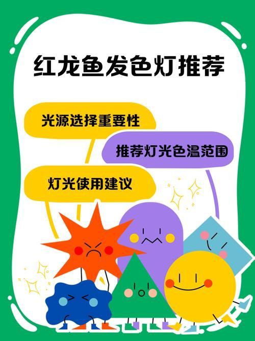 如何選擇合適的龍魚發色燈光？，如何科學選燈，讓龍魚發色更出彩 如何選擇合適的龍魚發色燈光？，如何科學選燈，讓龍魚發色更出彩 龍魚百科 第5張