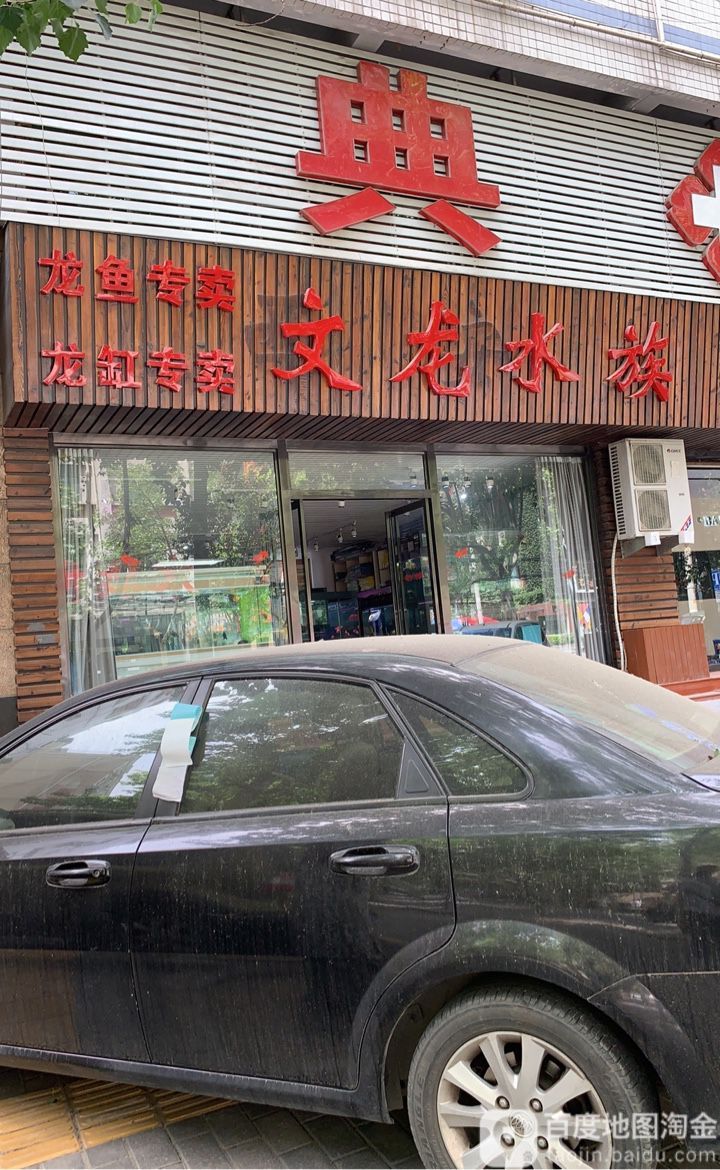 西安文龍水族龍魚專賣的營業時間是？，文龍水族龍魚專賣有哪些特色