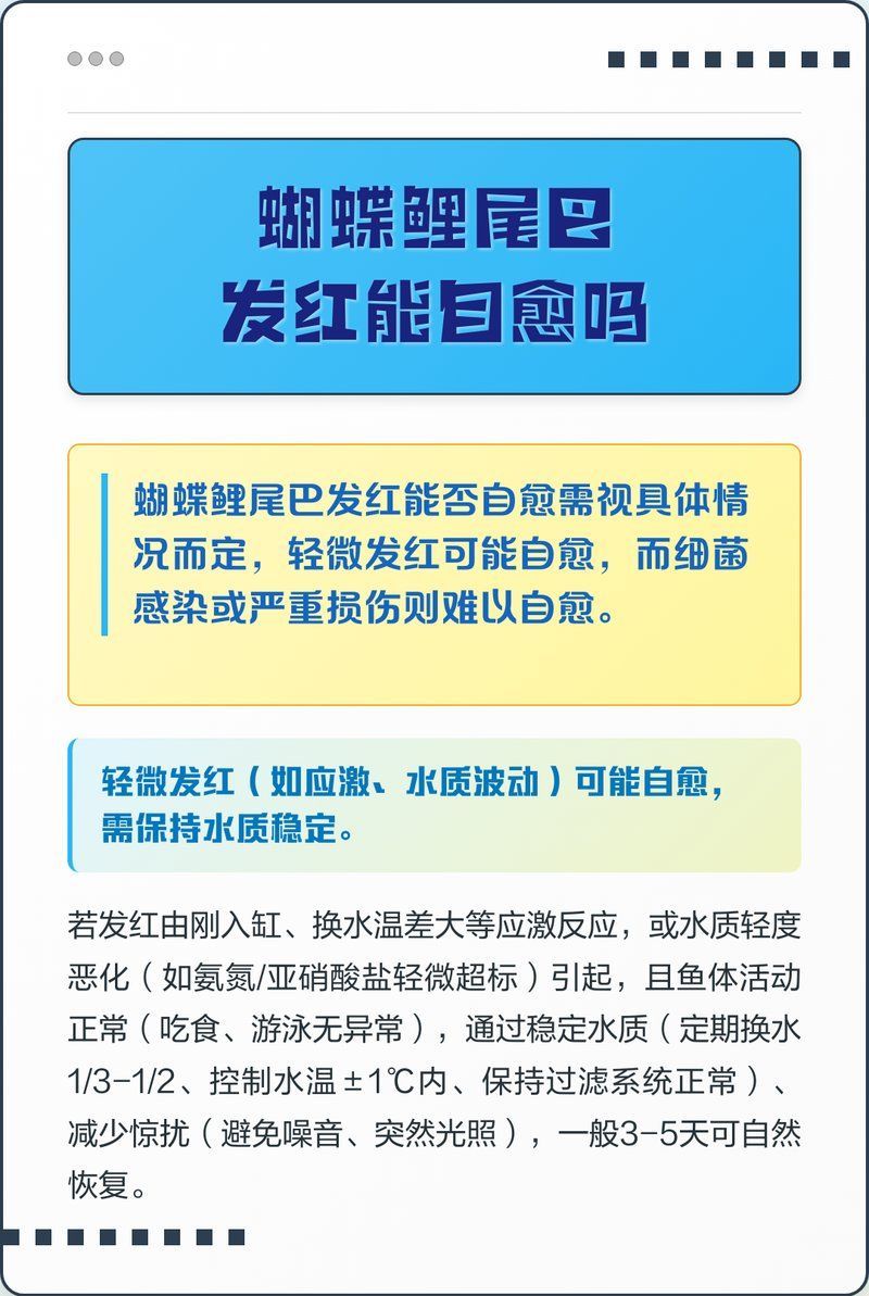 魚尾巴發(fā)紅會自愈嗎