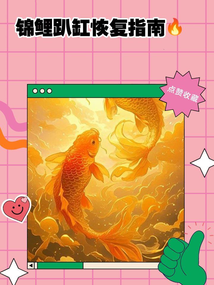 有哪些方法可以加速錦鯉恢復(fù)，———錦鯉恢復(fù)水質(zhì)問題