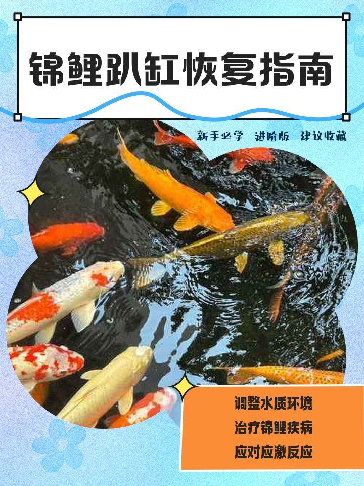 有哪些方法可以加速錦鯉恢復(fù)，———錦鯉恢復(fù)水質(zhì)問題