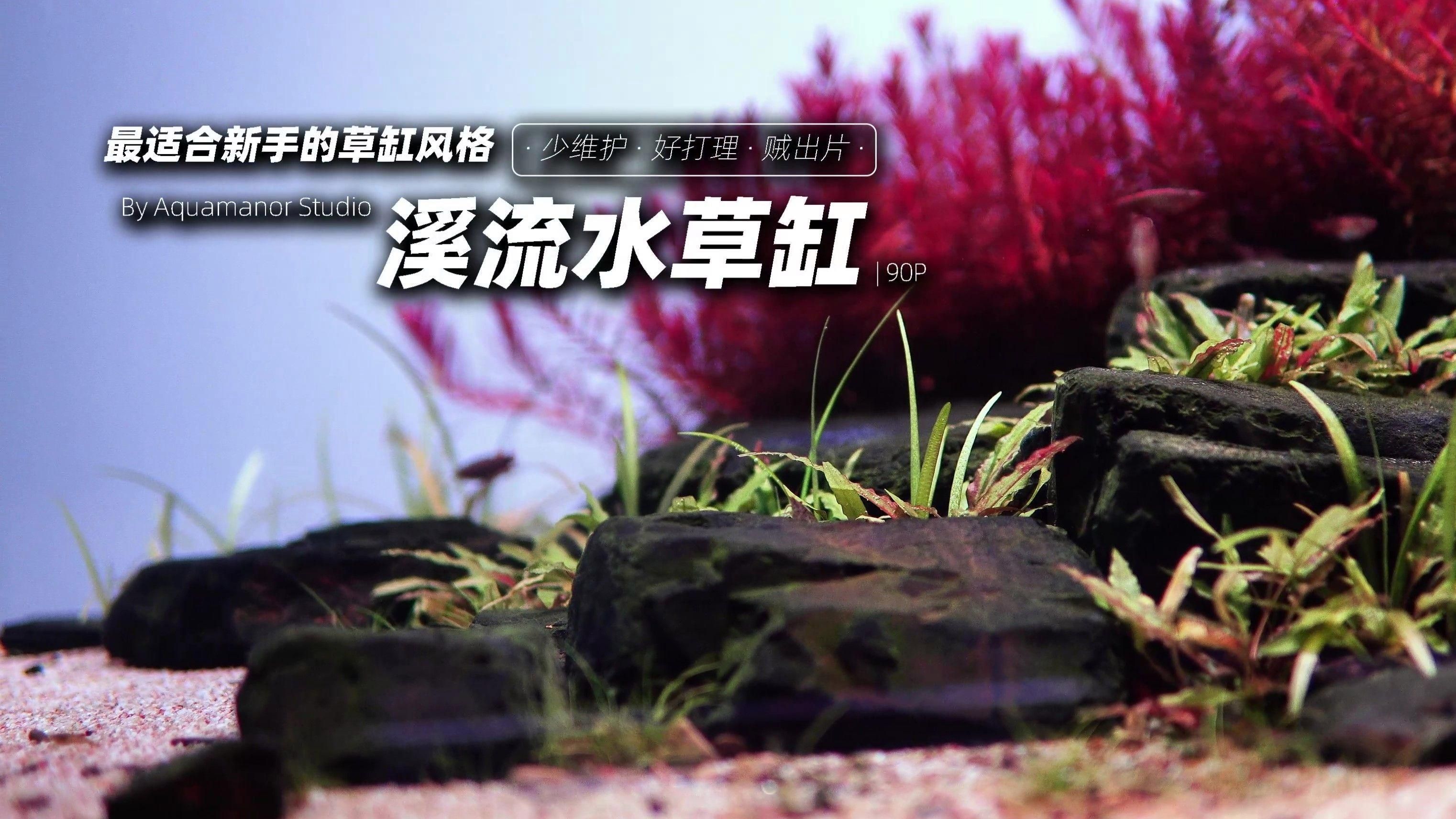 有哪些經(jīng)典的養(yǎng)魚顏色搭配案例，——————橙色魚缸搭配
