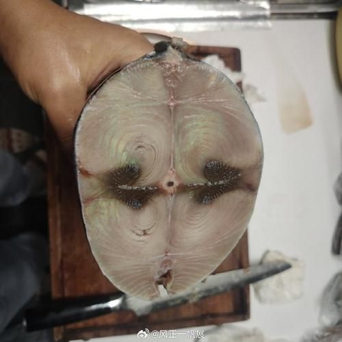 金槍魚刺身怎么制作，日本金槍魚刺身制作詳解
