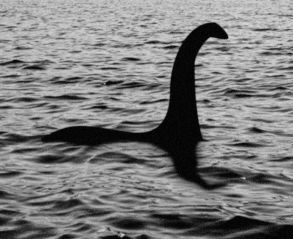 海洋十大不明生物有哪些傳說，海洋不明生物的傳說