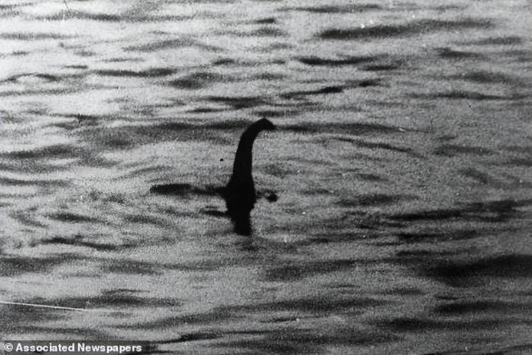 海洋十大不明生物有哪些傳說，海洋不明生物的傳說