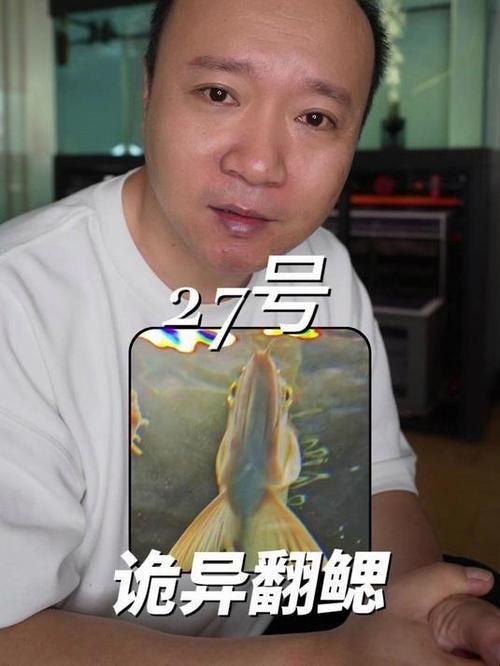 龍魚翻鰓癥狀圖片，龍魚翻鰓怎么辦