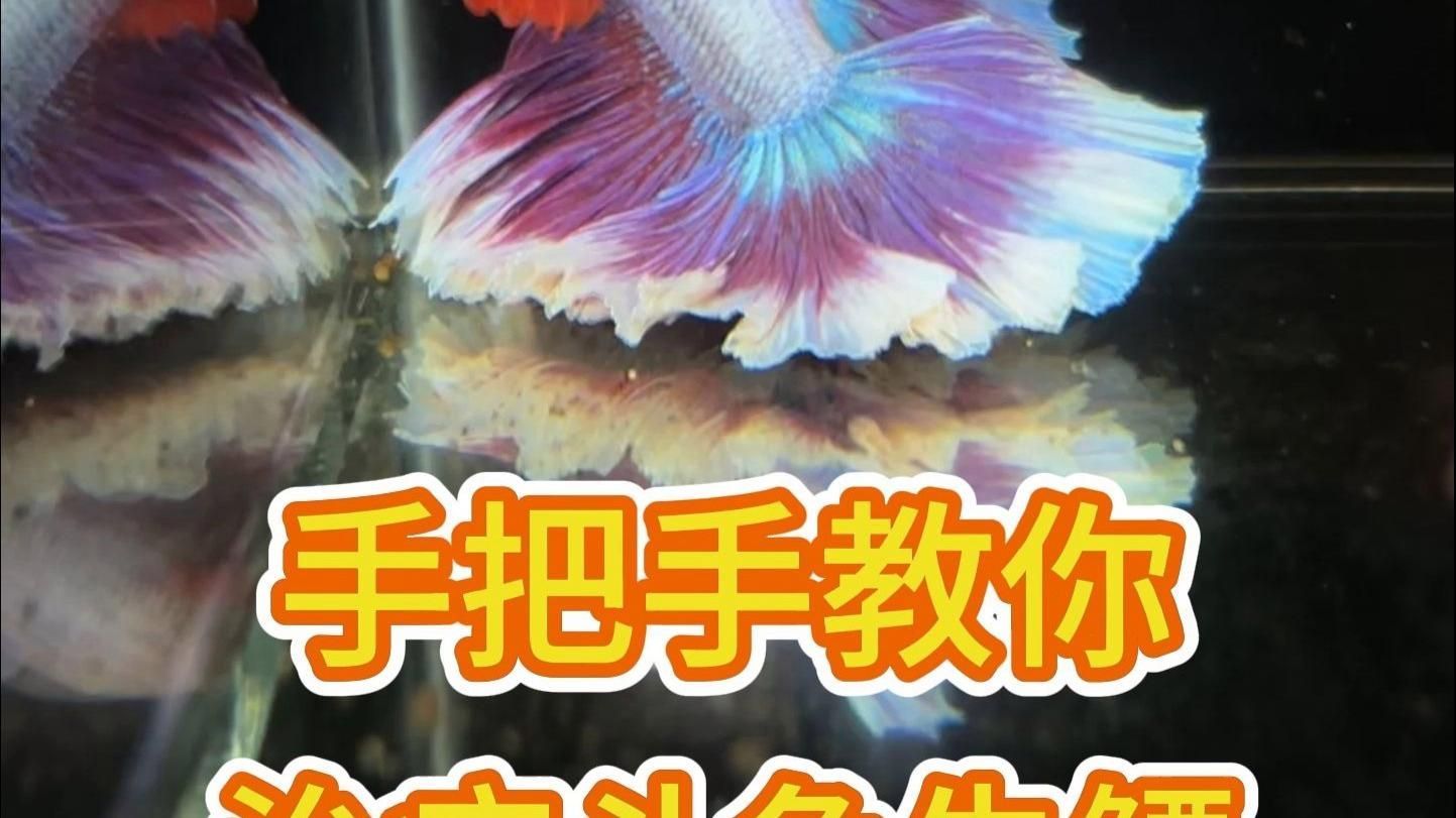 有哪些藥物可以治療龍魚側游？，治療龍魚側游的方案