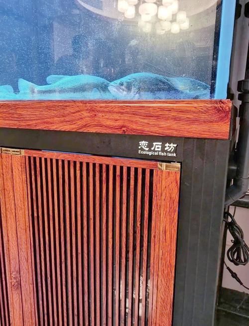 有沒有更多頂級龍魚缸的圖片，探索頂級龍魚缸的視覺盛宴